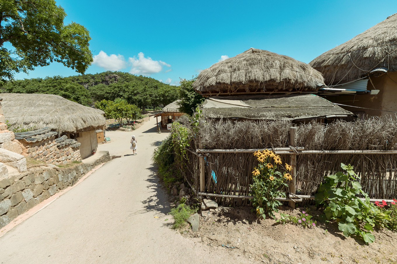 庆北三日，解锁你不知道的文化Korea