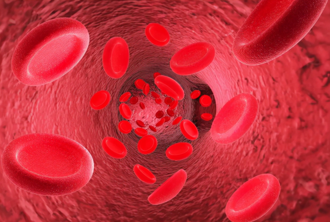 a型血b型血ab型o型性格都什么样,a型b型ab型o型哪种血型智商高