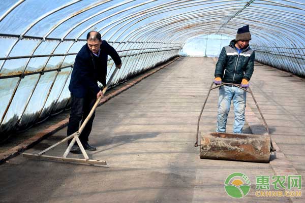水稻秧盘育秧技术与方法,水稻水育秧操作步骤有哪些