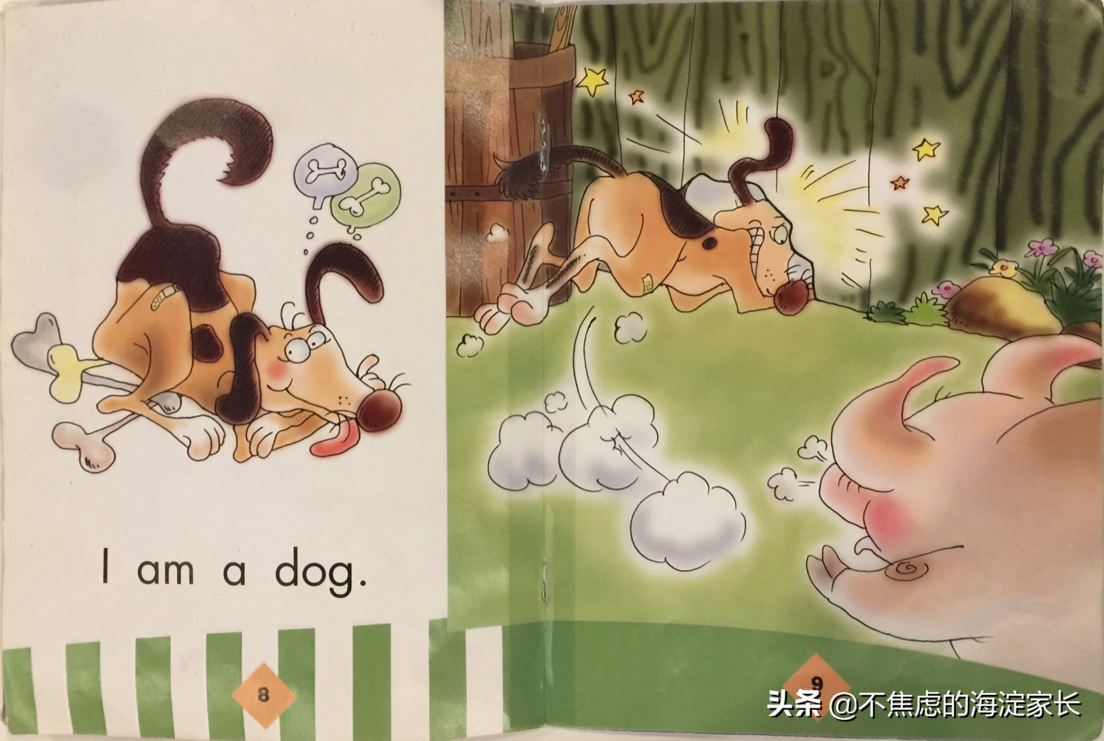 新西兰小学二年级课后读物,新西兰小学阅读书籍