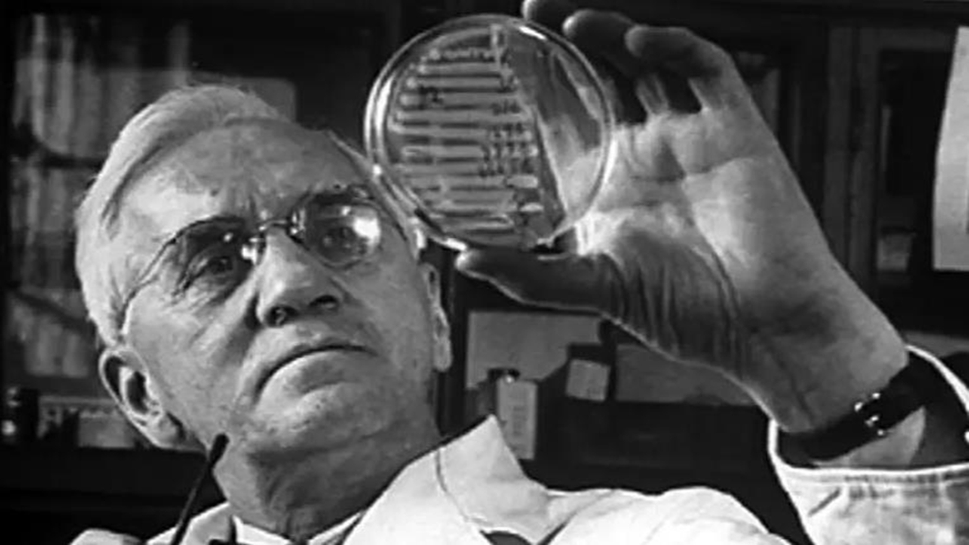 超越希波克拉底的发现，细菌的克星青霉素，历经波折终究造福人类