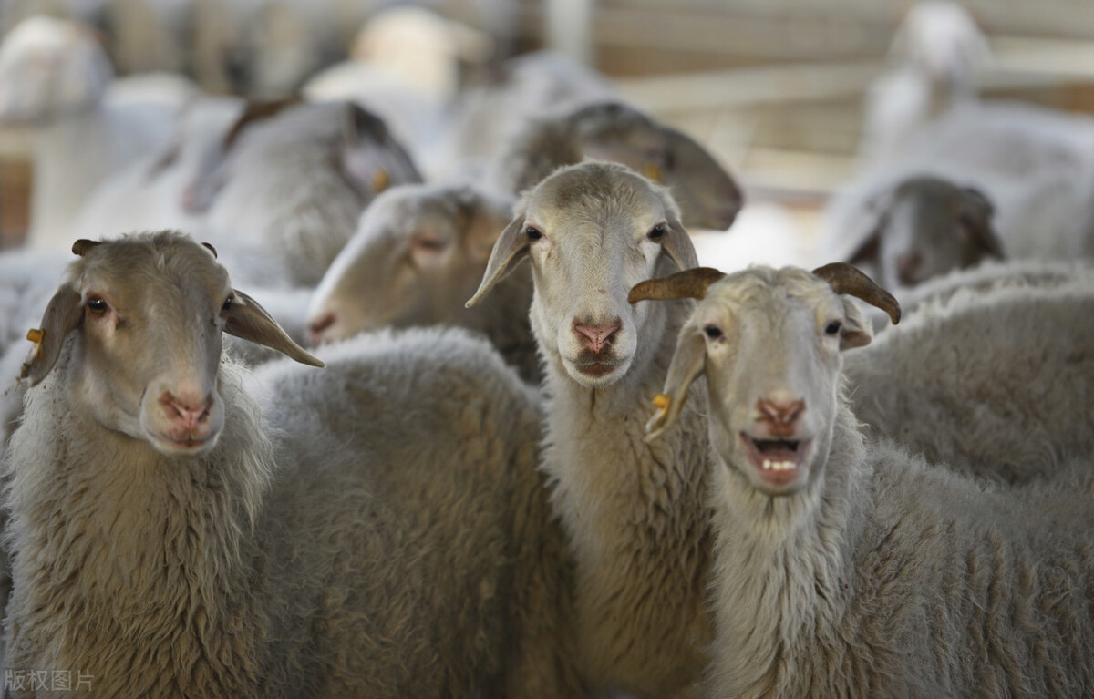 曲靖致富商机,曲靖最新商机