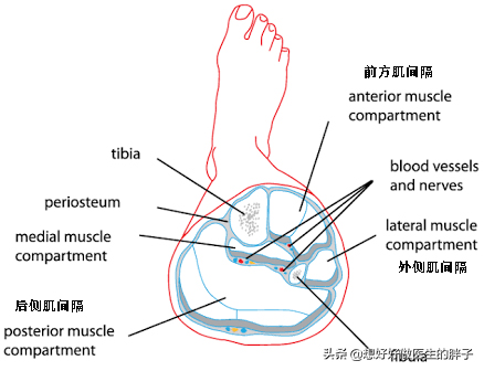 胫腓骨骨折的术前准备工作,胫腓骨下段骨折术前讨论