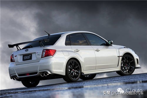 ​近乎残疾，不忍直视|流浪豹STI收养记Vol.01