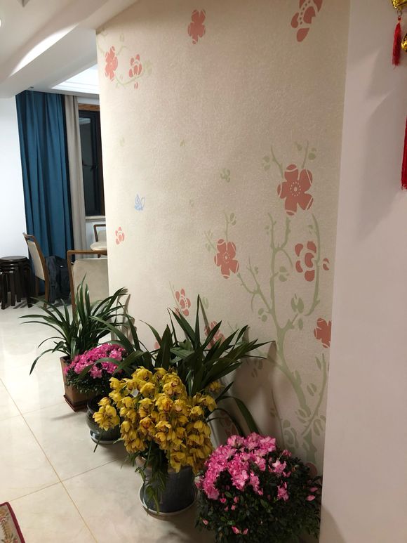 去表婶新装修的豪宅做客,2层新房装修只花8万