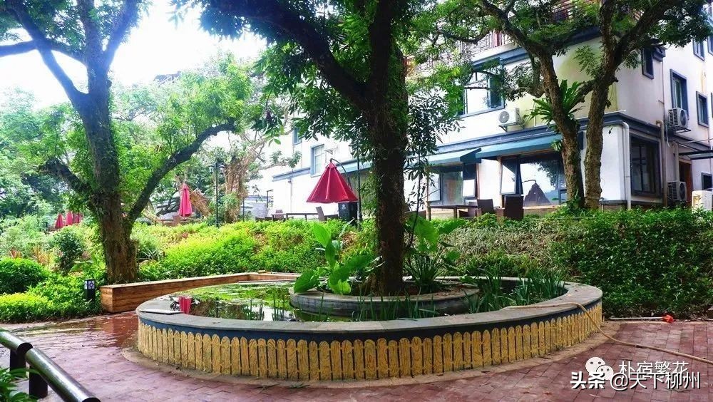 一支给予幸福守护健康的球队#朴宿·繁花#