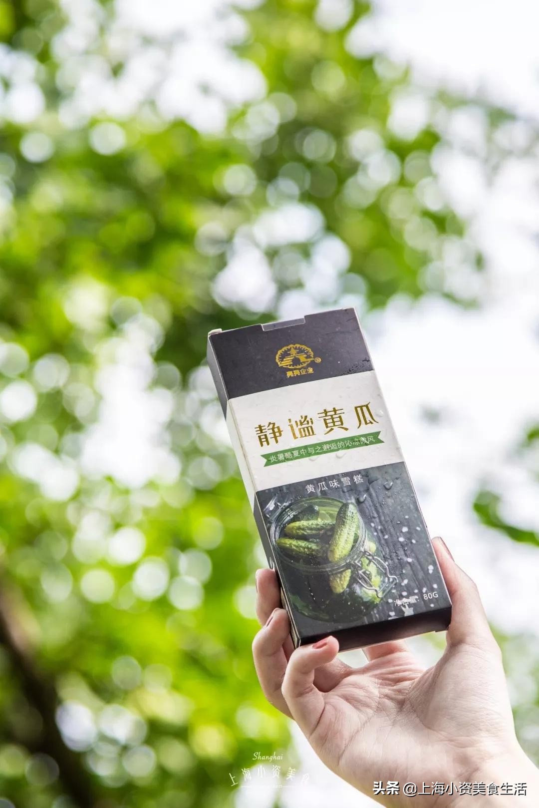 国内崛起的雪糕,中国风网红雪糕