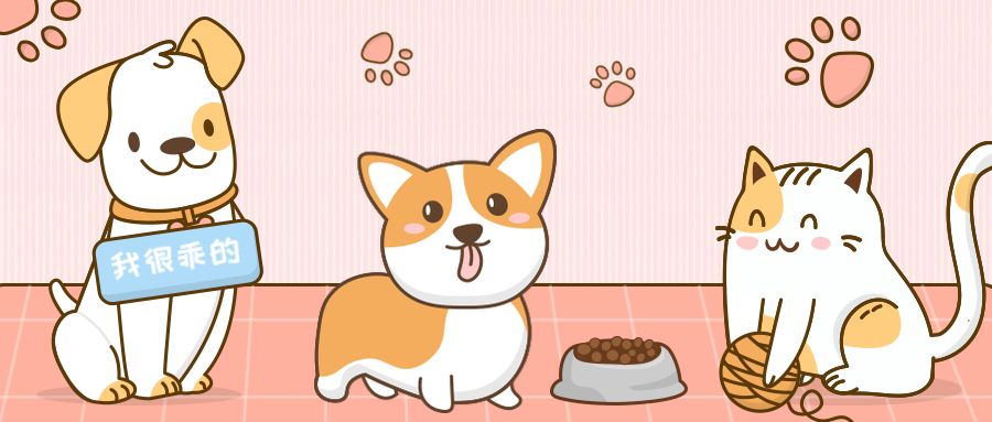 你家孩子读过哪些书,你家孩子看了什么书