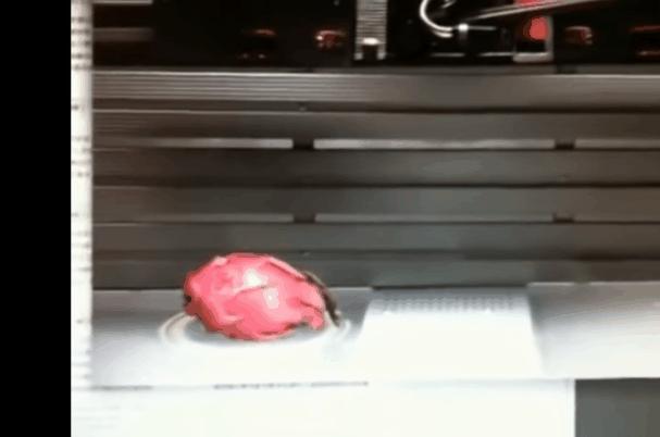 瞬间转移监控视频,监控拍下的惊人瞬间