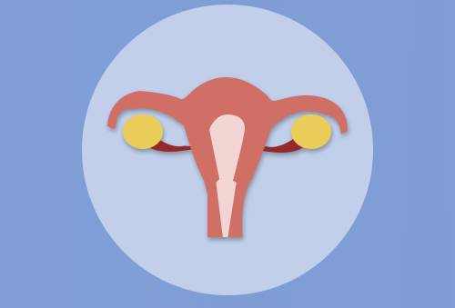 输卵管堵塞试管成功率高吗,输卵管完全堵塞只能做试管吗