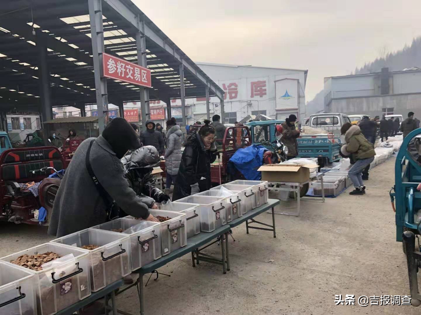 参茸土特产直播,长白山参茸东北土特产