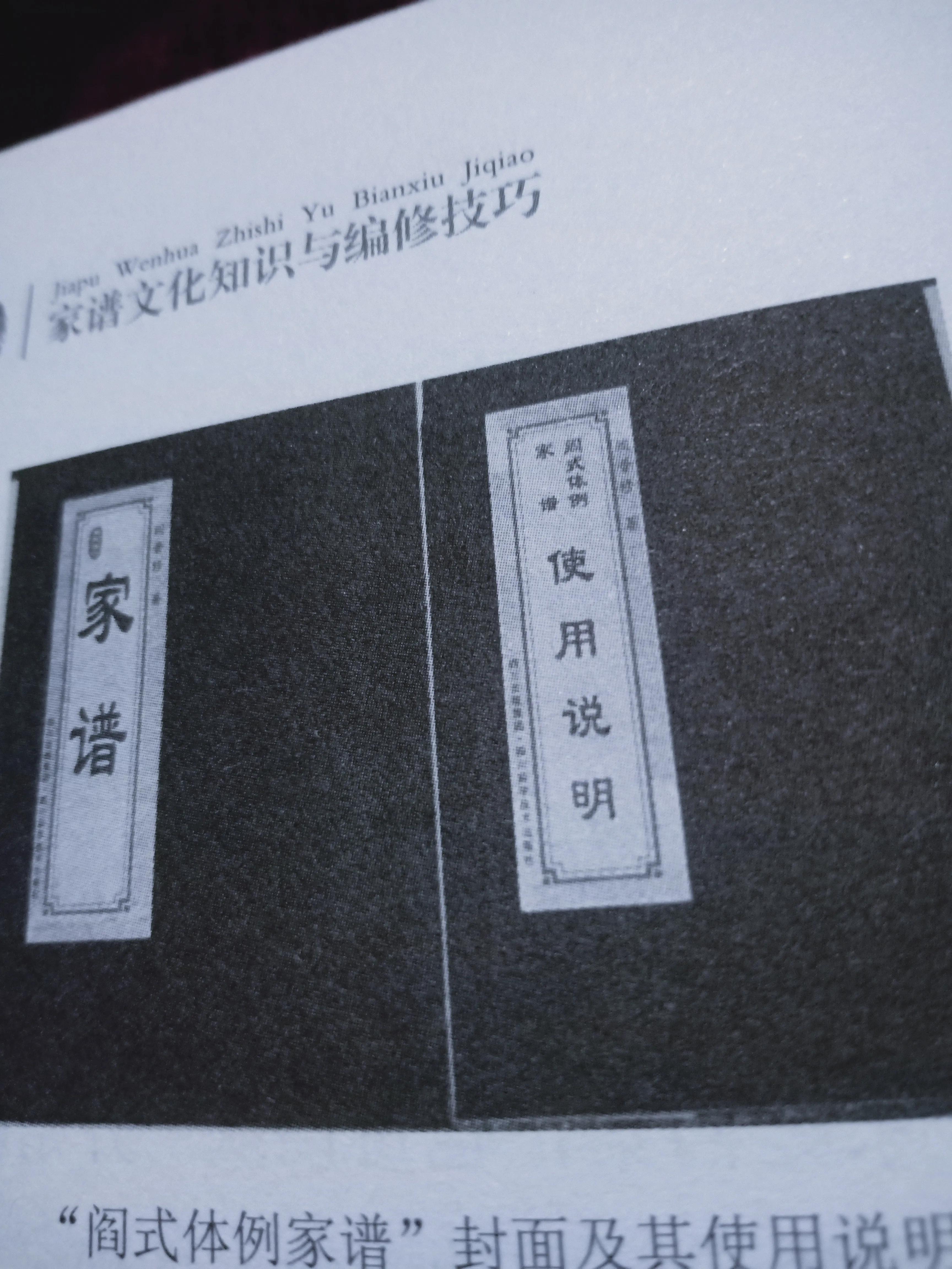 悬挂式家谱怎样填写,挂式家谱填写图片