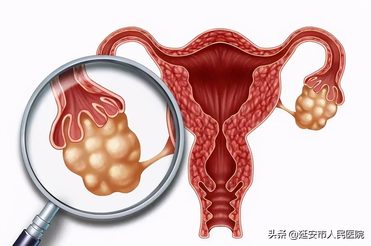 张进医学专家视频,张进良教授还原疗法视频