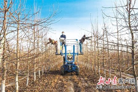 #疫情防控临夏在行动#【决战决胜脱贫攻坚】书写决战脱贫攻坚的春天答卷——肃全力推进脱贫攻坚任务落实纪实