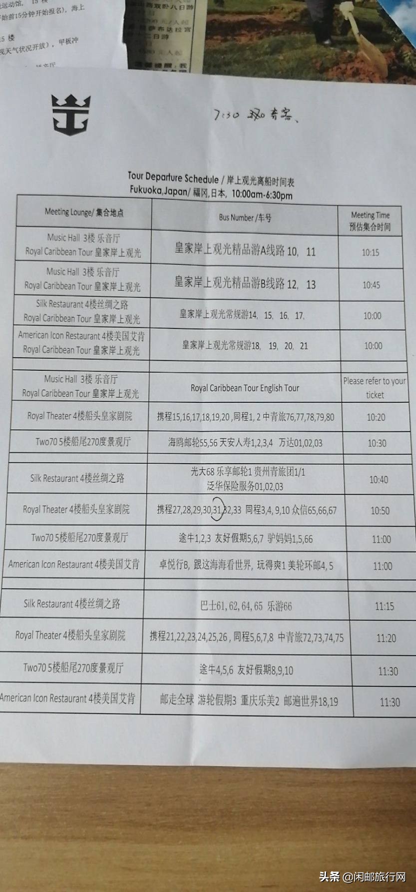 带着老人们去邮轮旅游,带长辈去邮轮