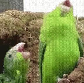 湿疹荨麻疹痱子的区别,痱子湿疹荨麻疹一起起该怎么办