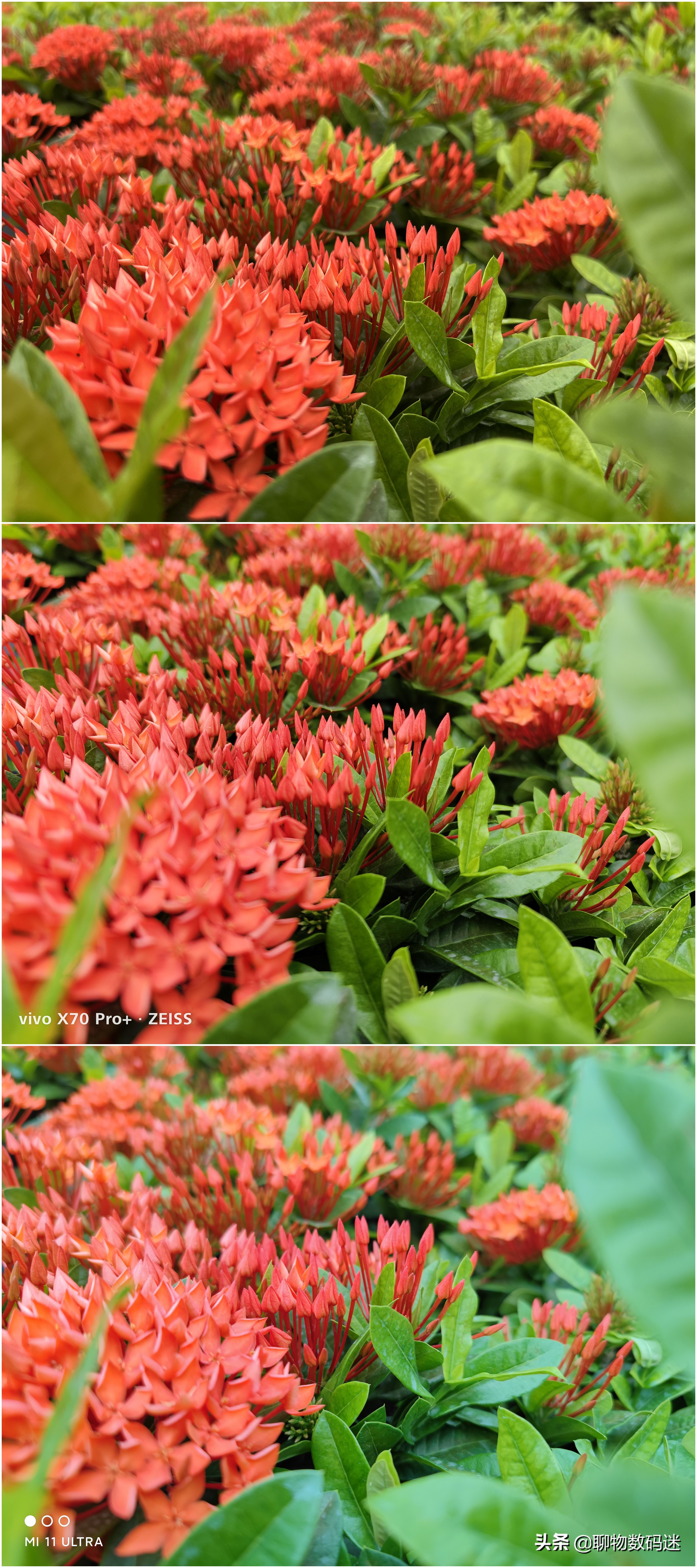 iphone8plus拍照评测,iphone还是全球最好的手机吗