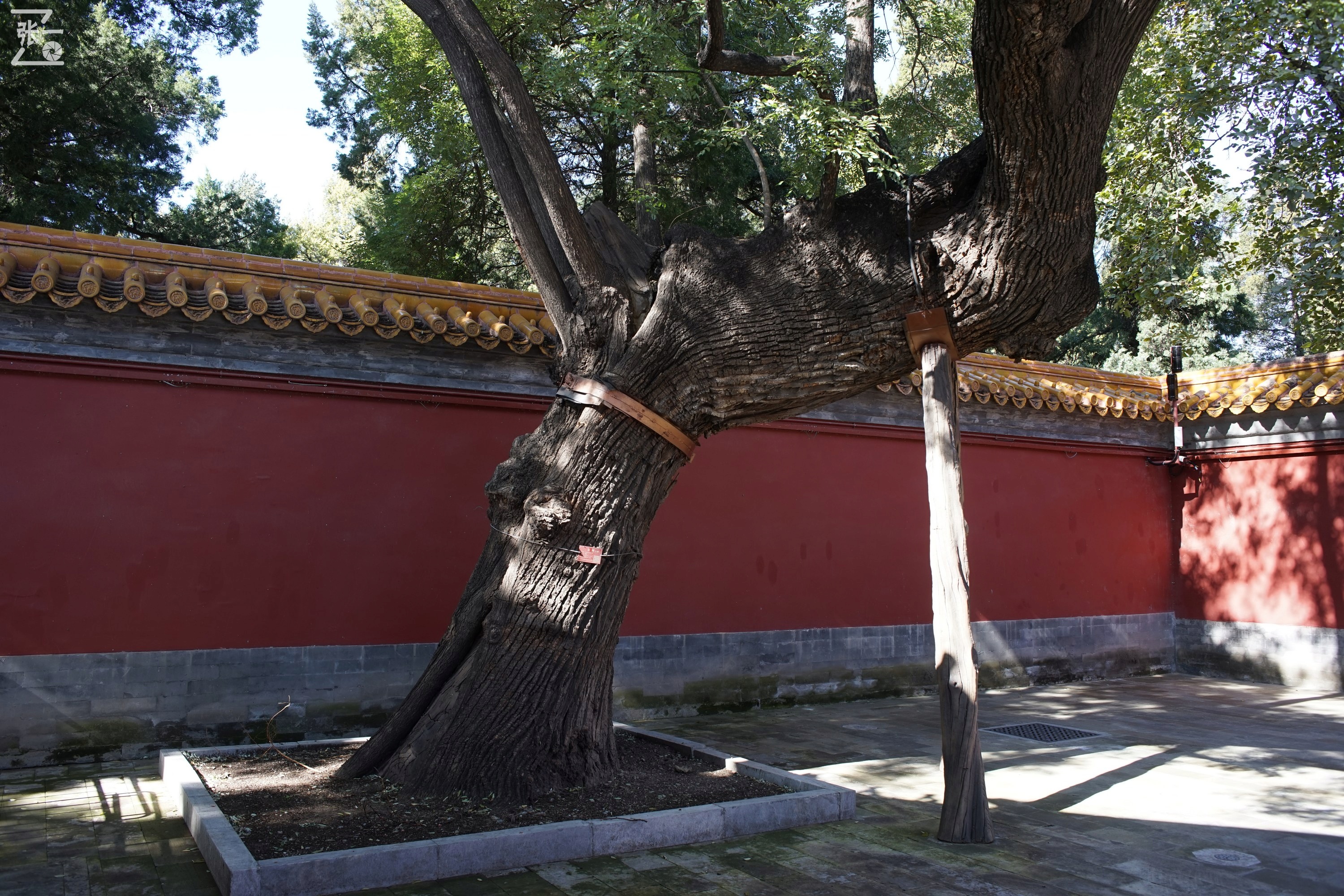 镜头测试：蔡司红T28/2.8+索尼微单A7实拍北京景山公园