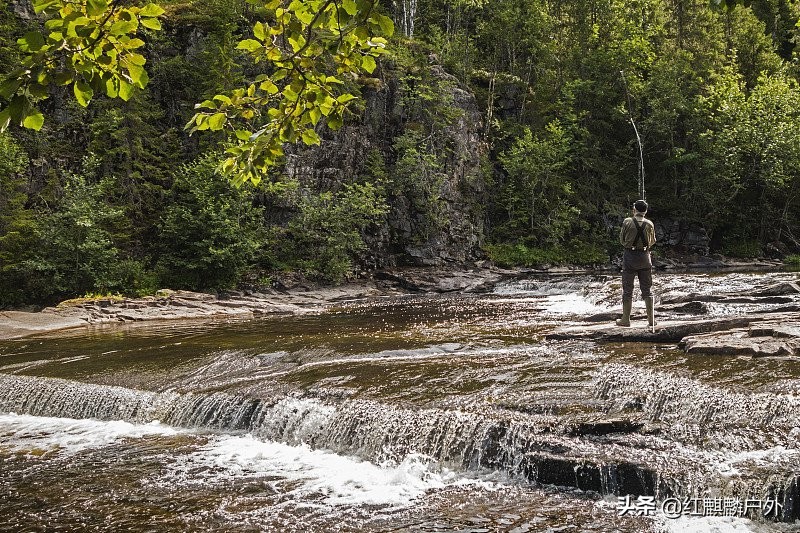 夏季钓鱼不再空军的四个技巧,秋天钓鱼怎么不空军