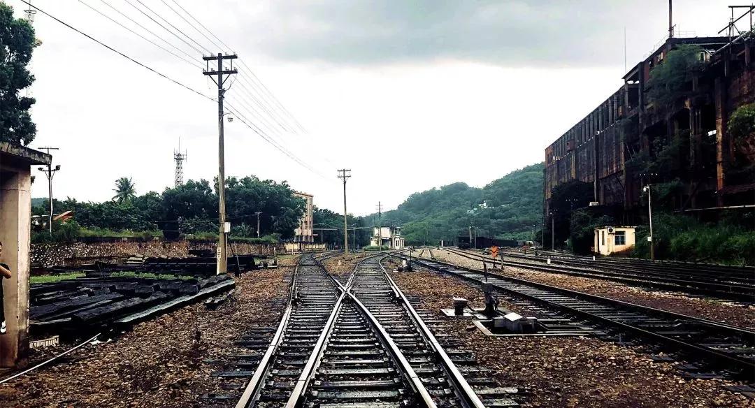 昌江原生态热带雨林森林秘境,海南万宁一个被大自然宠爱的地方