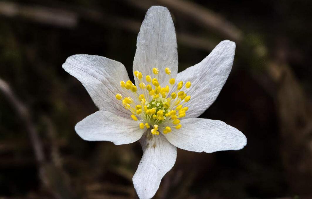 人到三十还没有成就,人到三十没钱忽然需要钱怎么办