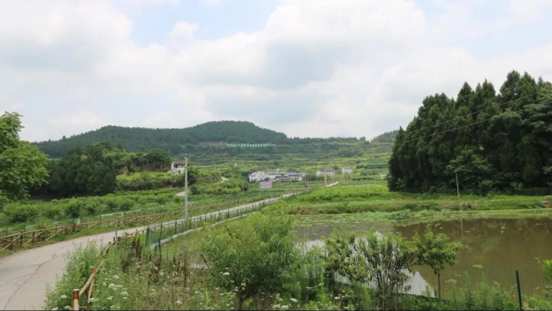 人民日报点赞资中县,人民日报点赞原阳