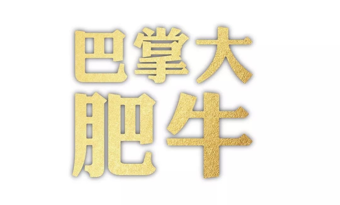 傣妹火锅的兴衰,傣妹火锅品牌策划