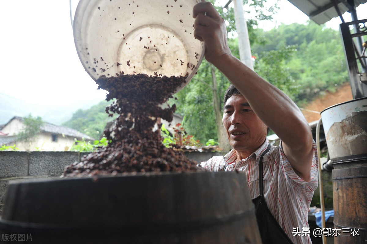 东北农村做酒的师傅非常吃香，月收入2万以上，为什么这样赚钱？