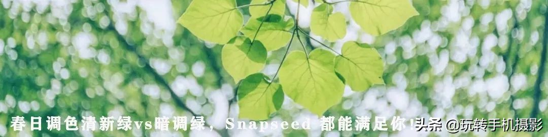 snapseed手机修图各种功能,snapseed修图功能视频介绍