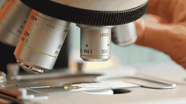 吃毒菇、睡蛇窝，只为挖一堆草，这个重庆博士要做当代神农