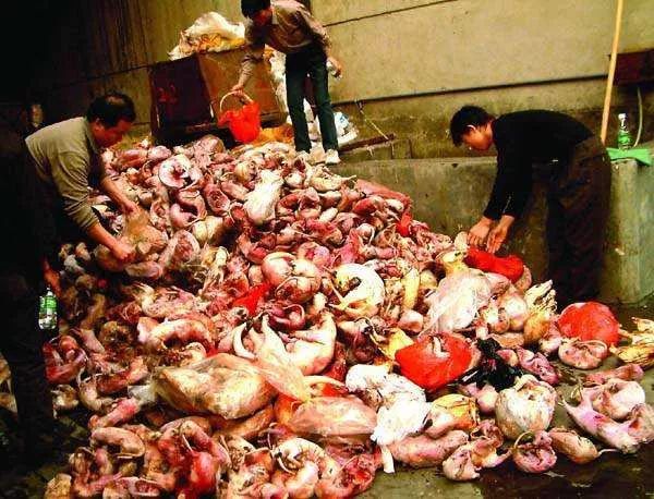 韩国寄生虫深度解析,寄生虫韩国结局