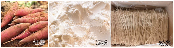 新型打红薯直接出粉条,有直接用红薯做成粉条的设备吗