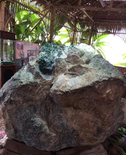 轰动玉石界的原石,轰动翡翠界的事件