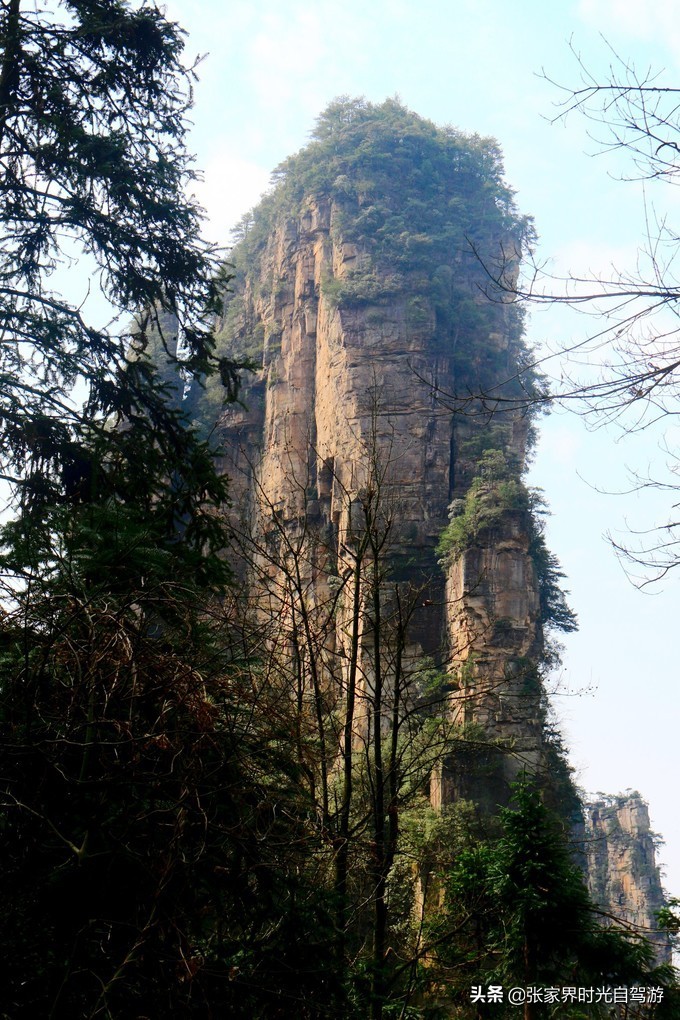张家界森林公园亲子游攻略,张家界旅游攻略现在张家界气温