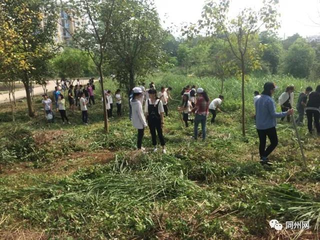 农垦中学，不只有油炸馍