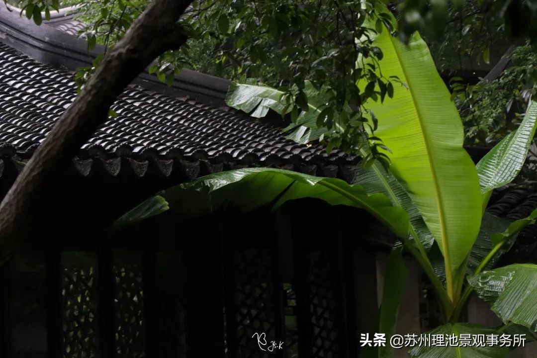 给我讲解一下拙政园的来历,拙政园最完整的讲解