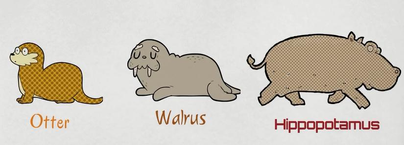 动物英语名称视频大全,兔小贝英语宝典动物名称