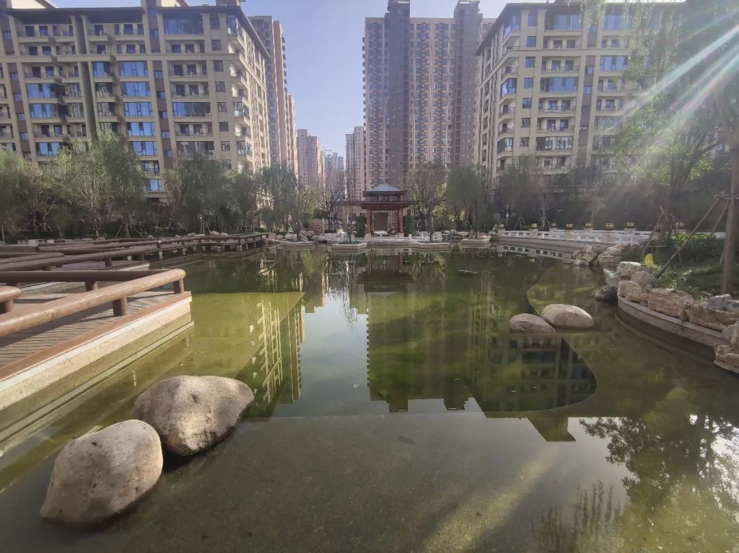 石家庄高新区最值得买的盘,实探一线湖景房