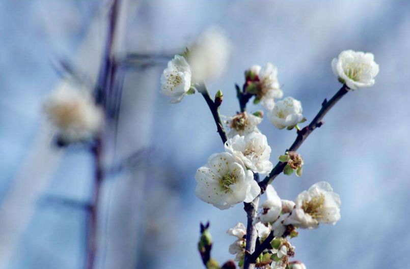 寄情于山水之间的唯美古诗词,寄情山水悠闲自得的诗词