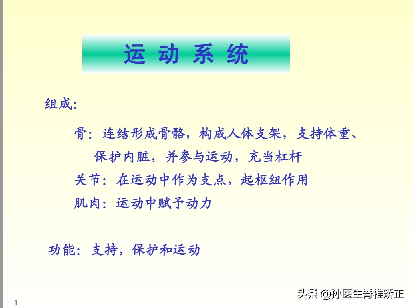 解剖学基础ppt完整版,人体系统解剖学ppt完整版