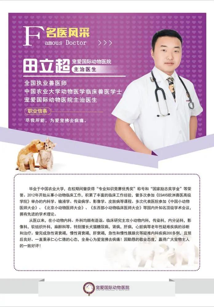 猫咪脂肪肝黄疸的真实经历,猫咪脂肪肝在家治疗方法