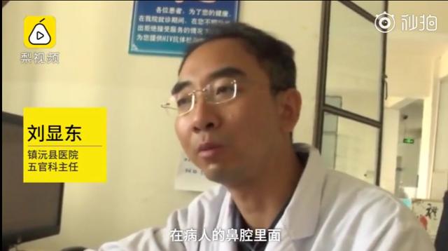 男童反复流鼻血竟是一条大蚂蝗,5岁男孩取出蚂蟥