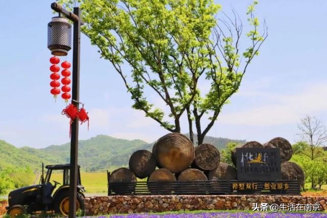 2019年南京美丽乡村游,南京周边美丽乡村游推荐