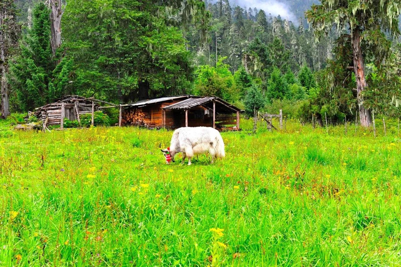 中国唯一不收费的高速公路,中国旅游风景最好的四条高速
