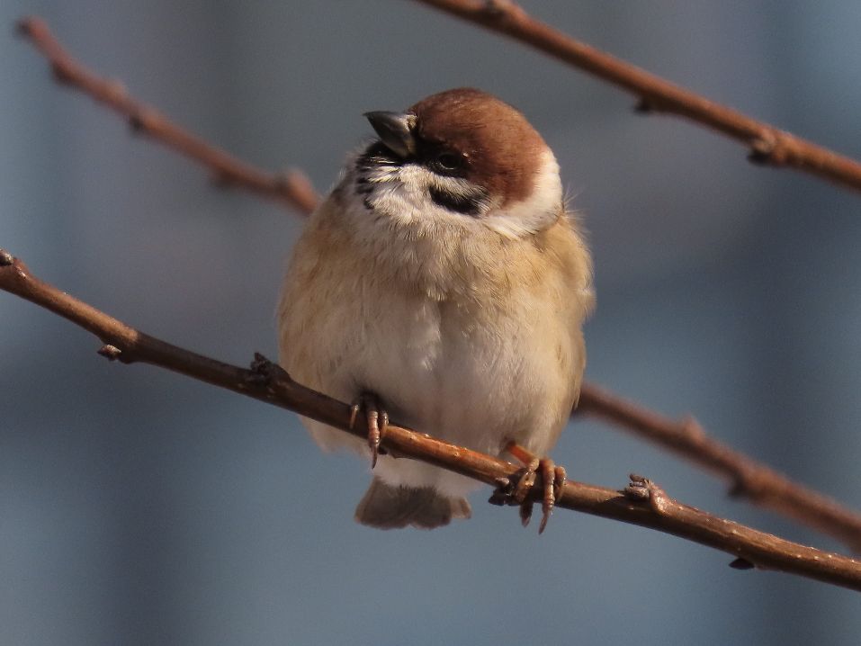 12倍光学变焦数码相机拍摄效果,10倍光学变焦相机拍照片