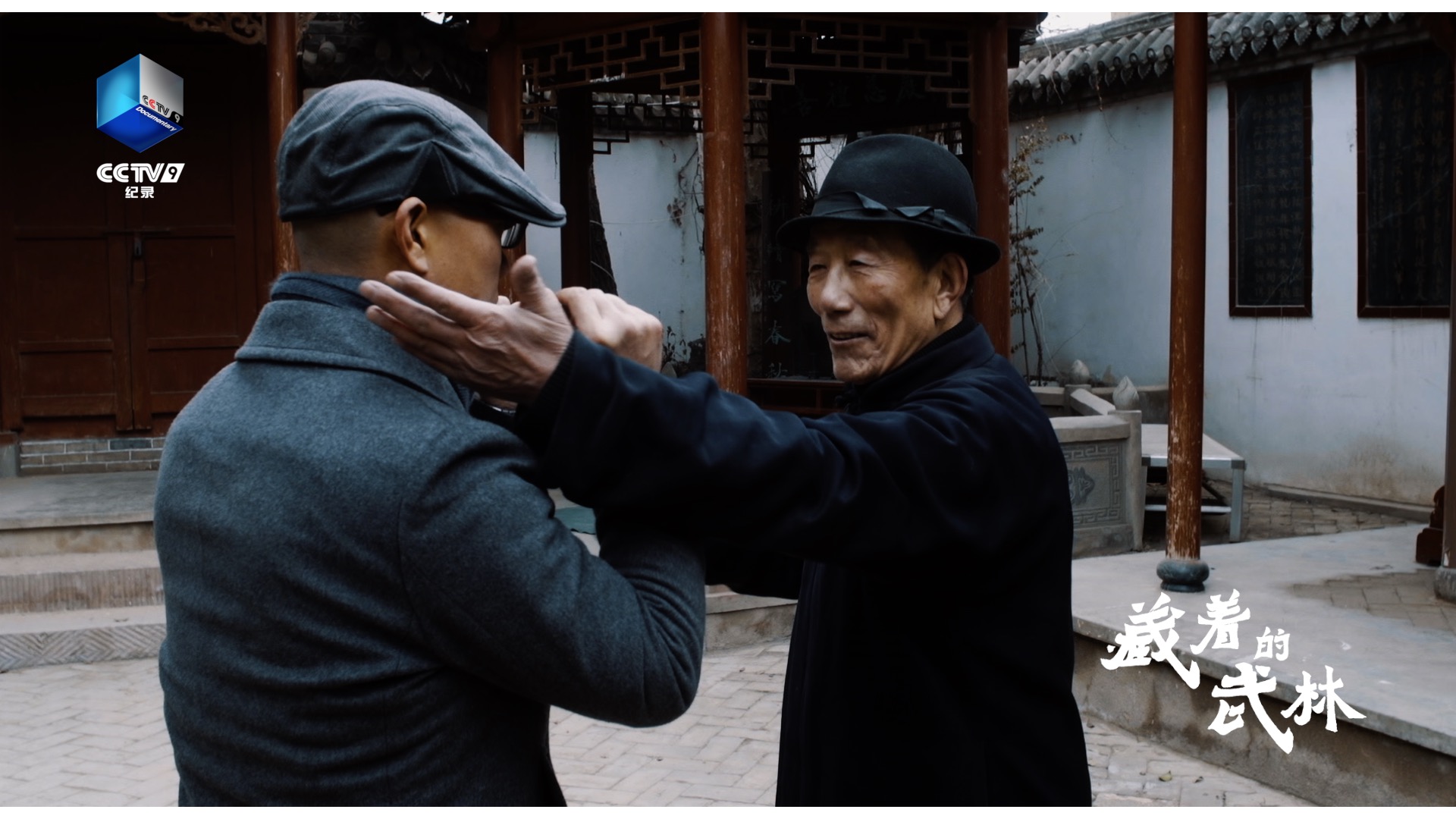 藏着的武林纪录片合集,藏着的武林纪录片对武术的解读