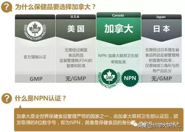 costco必买保健品价格分别是多少,不吹不黑分享真实感受
