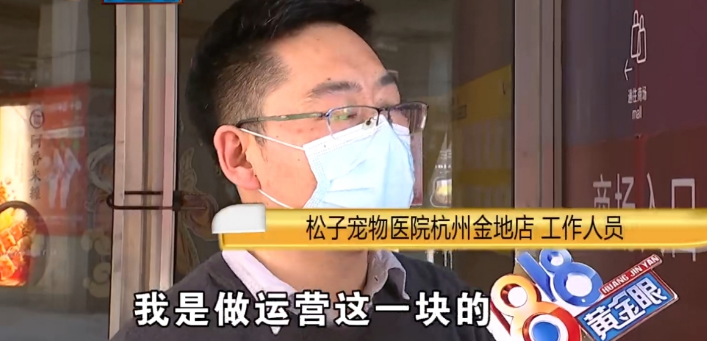 男子花23000买布偶猫,女子花六千元买的布偶猫