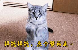 王者荣耀xq战队,王者荣耀东方曜kpl职业赛场