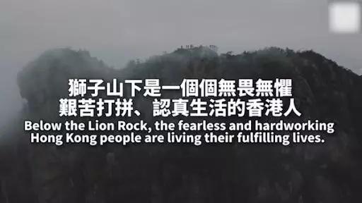 香港鳄鱼衫,穿鳄鱼衣服冒充鳄鱼